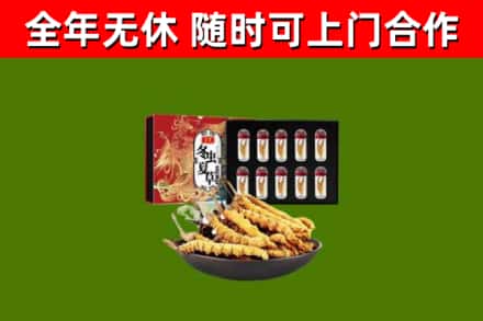 和平回收冬虫夏草价格