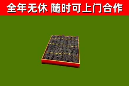 和平回收海参